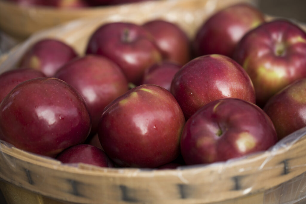 Michigan Macintosh apples near Traverse City