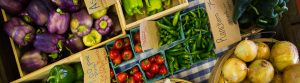 Michigan produce is at its peak!