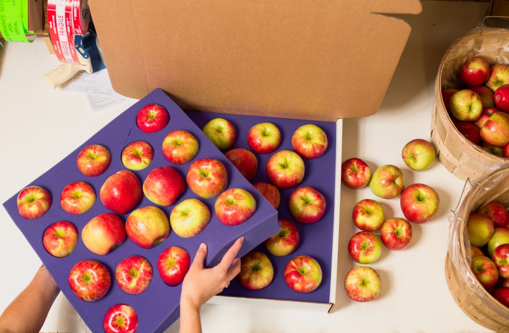 Michigan Apple Shipping Straight from the Grower King Orchards