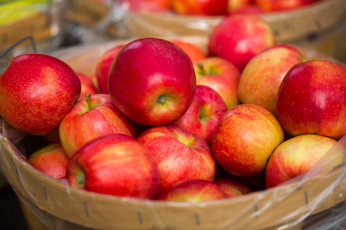 Gala Apples