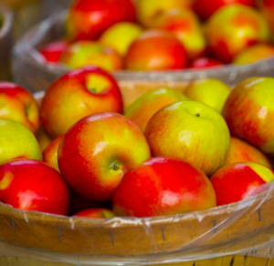 honey crisp apples