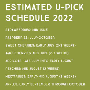King Orchards u pick schedule